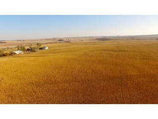 Property photo 21 - LAND AUCTION - 664+/- ACRES OFFERED IN 17 TRACTS IN CASS CO., NEBRASKA